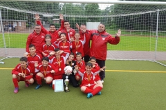 Stadtmeister, E-Junioren Stadtwerke Cup 2016, Bild 1